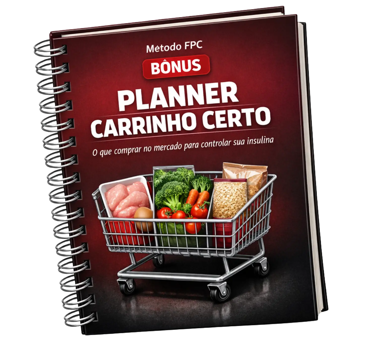 Planner do Carrinho Certo